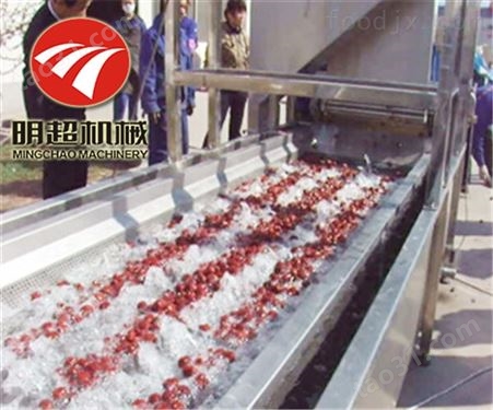 冬枣气泡清洗机红枣加工设备一小时500公斤