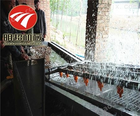 冬枣气泡清洗机红枣加工设备一小时500公斤