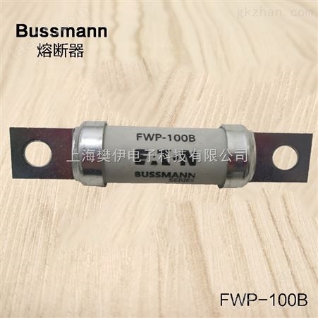 巴斯曼快速熔断器保险丝FWH-40B FWH-100B