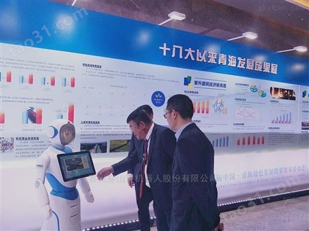 供应青海绿色发展投资智能商业迎宾机器人