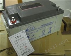理士蓄电池12V100AH参数规格价格