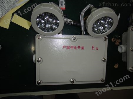 BSX-60手提式增安型防爆灯